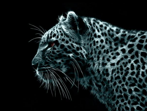 Amazing Gepard in the Dark